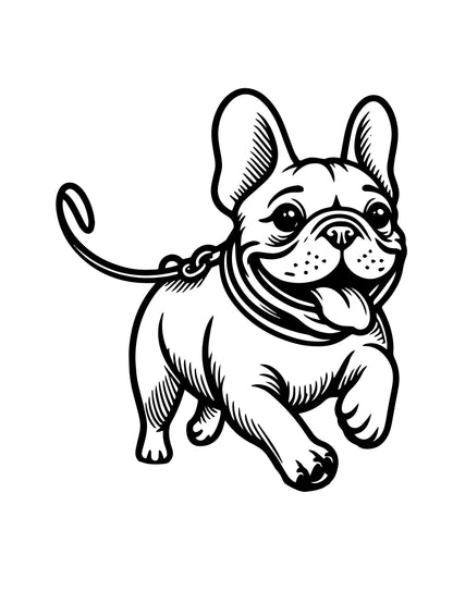 The Adventures of Chico the Frenchie